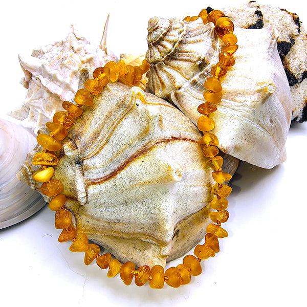 Baltic Amber Honey opaque beads 12.5" choker necklace